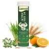 Active fizz 24