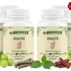 Ayurvedic Diabetes Support Tablets 60 Count