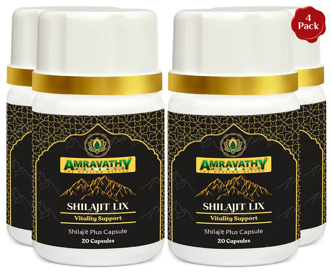Shilajit Lix pack of 4