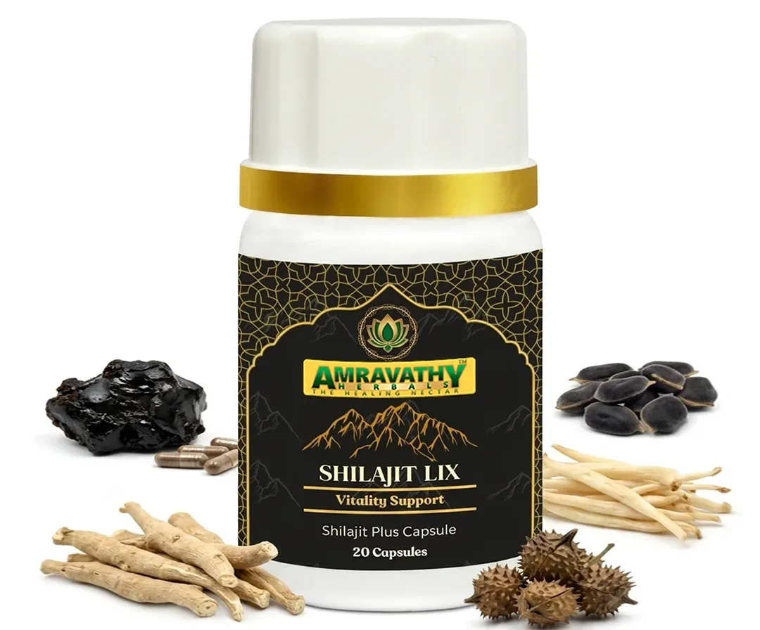 Shilajit Lix